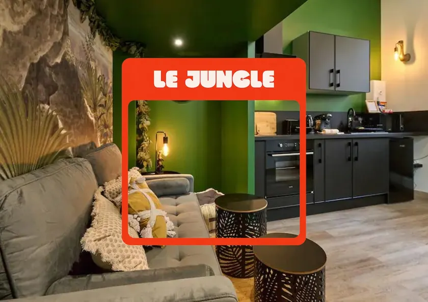 "Little Jungle" appartement Atypique dans le centre ville de Nevers - Image 1