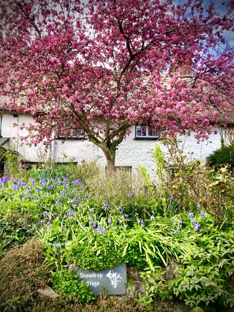 Cosy Cottage Near Dartmoor, Parking &Self Check-In - Image 1