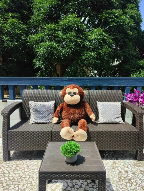 2 BHK Apt near Panjim • Peaceful • Fully Furnished - Image 1