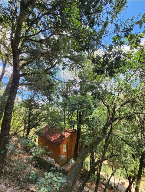 Las Lianas Cabin - Image 1
