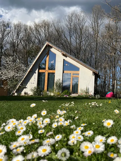 Cozy frame house in the wood - Image 1