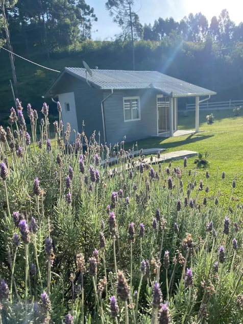 Oliveira Cabin 2 - Image 1