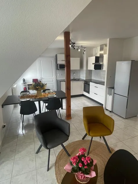 The Square F2 Spacious terrace, garage near Colmar - Image 1