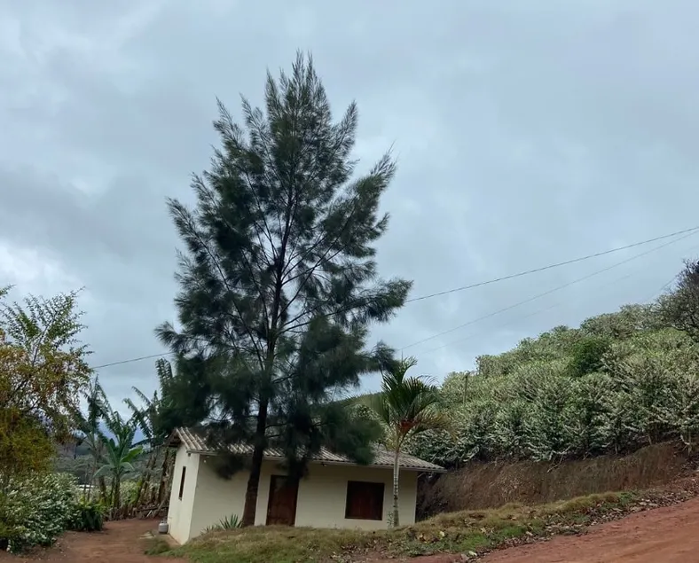 Casa de campo - Image 1