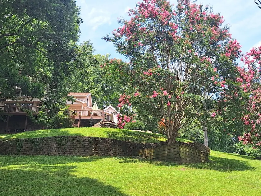 Country and nature - majestic views, convenience - Image 1