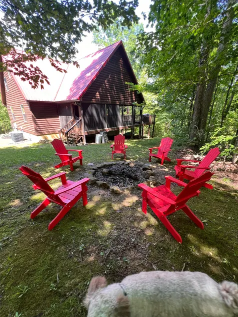 Cozy Lakefront Cabin in Mammoth Cave on 16 Acres - Image 1