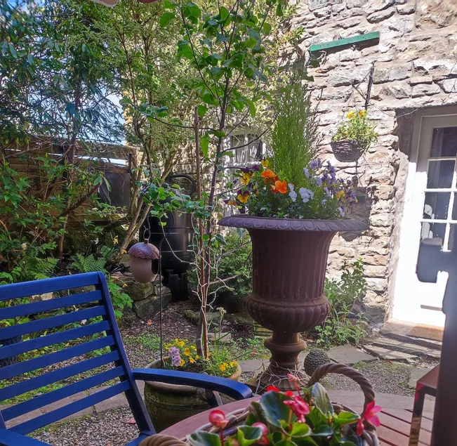The Rookery - Image 1