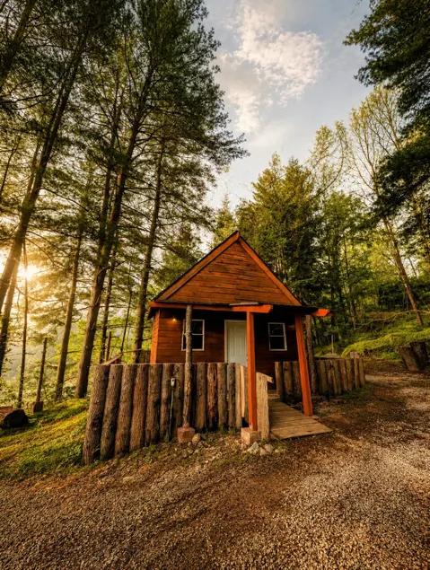 Cozy Cabin in the Woods - Image 1