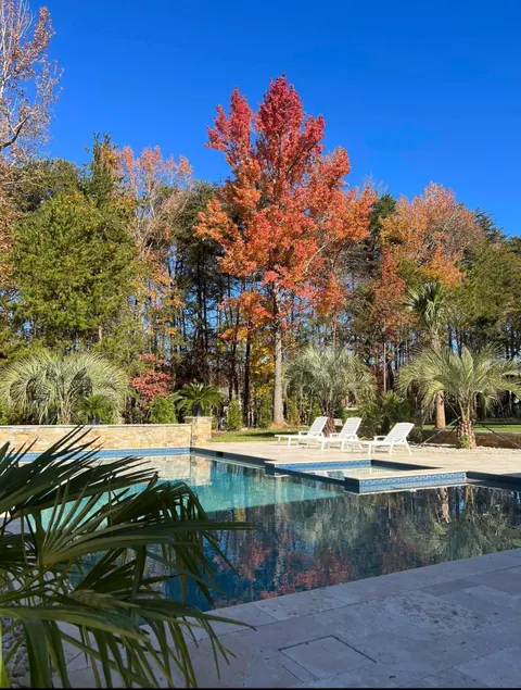 Stunning 4 Bed House Perfect for Nature Lovers - Image 1