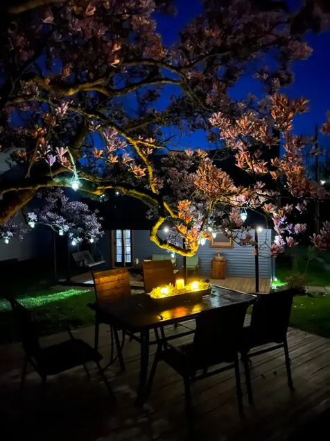 The Magnolia - Image 1