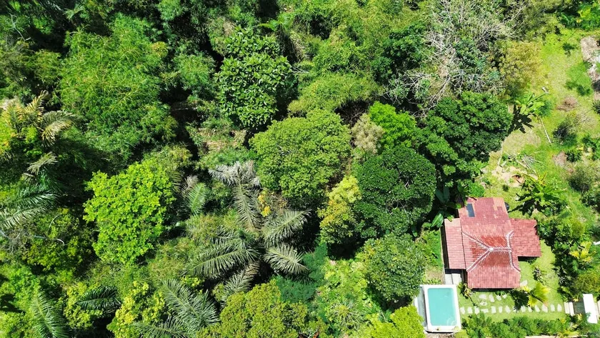 Private pool 1 BR Jungle view - Image 1
