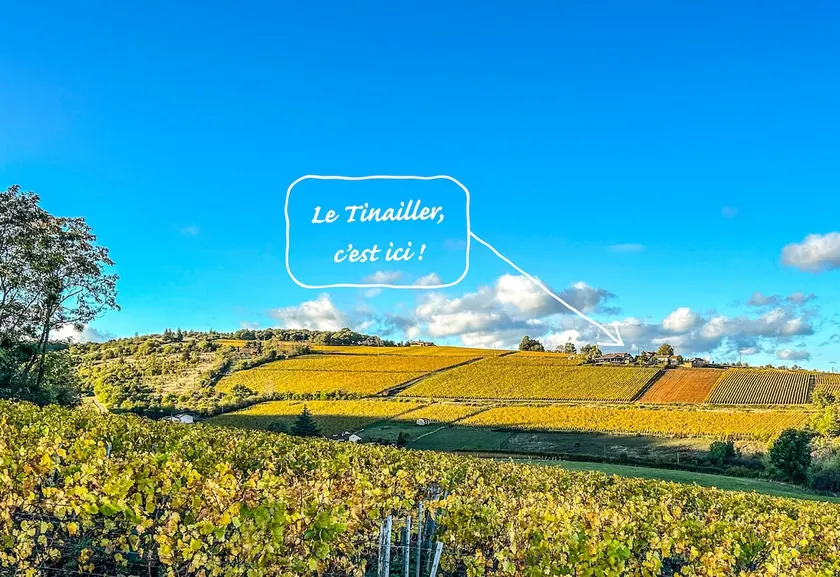 Le Tinailler Gite d'exception au coeur des Vignes- Deux suites parentales - Amazing place - Image 1