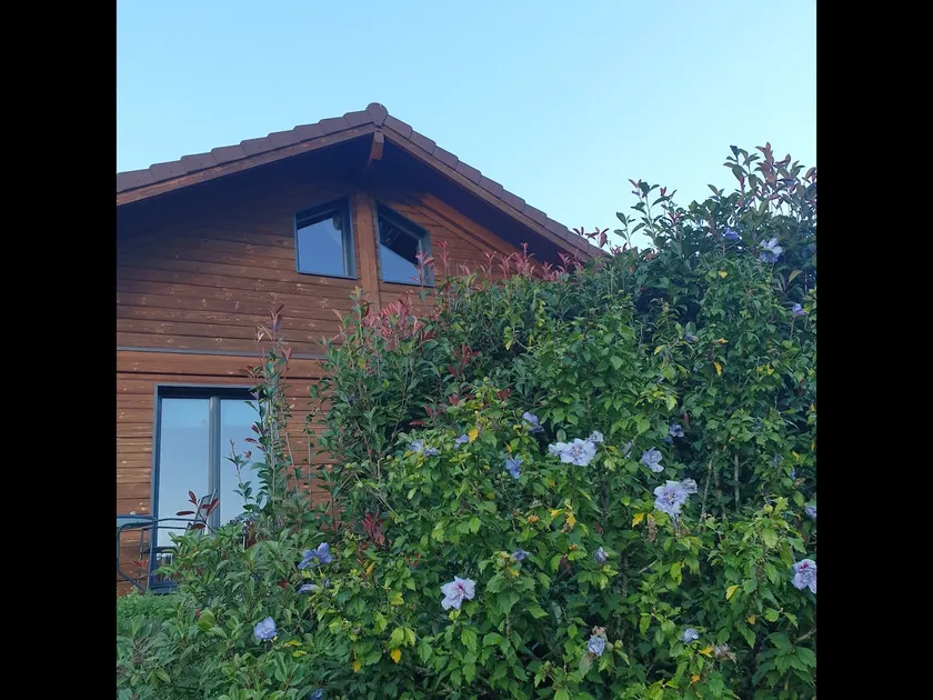 Cozy Wooden Cottage – Air-conditioned – Private Pool - Image 1