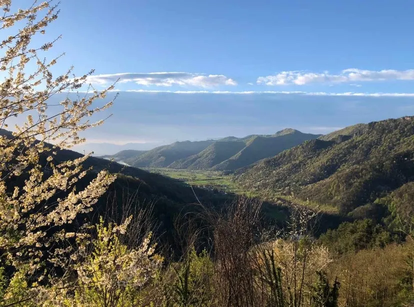 Alte terre Monviso - Image 1