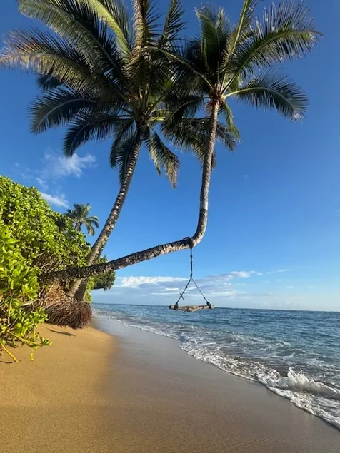 ”Come for the Views, Stay for the Beach!” - Image 1