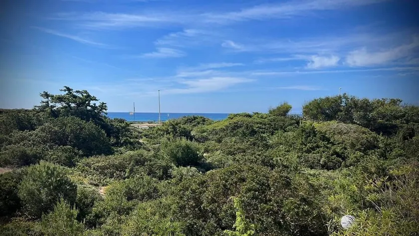 Sea View Apartment in Puglia - Image 1