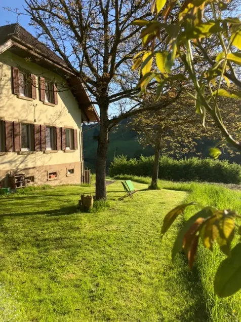 A break at the forest house - Image 1