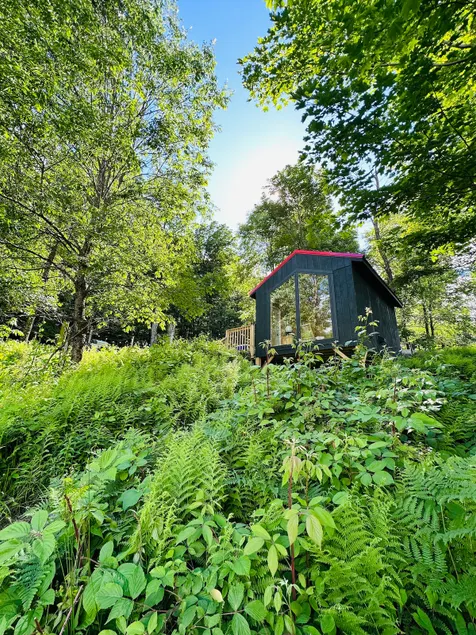 Tiny cabin with alpacas - Image 1