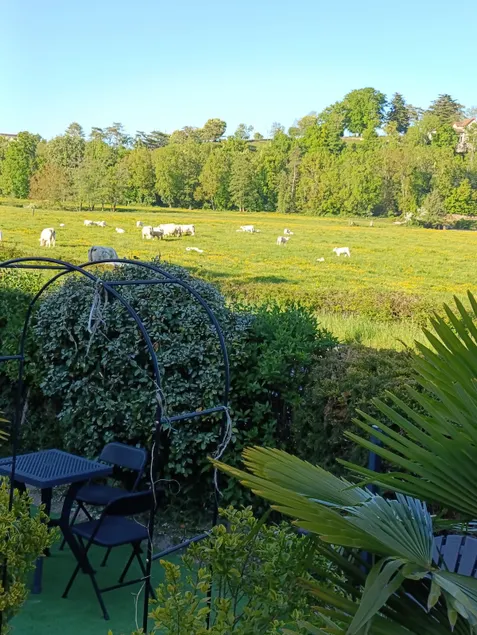 Gîte des Palmiers, Ameugny Taizé vacation rental - Image 1