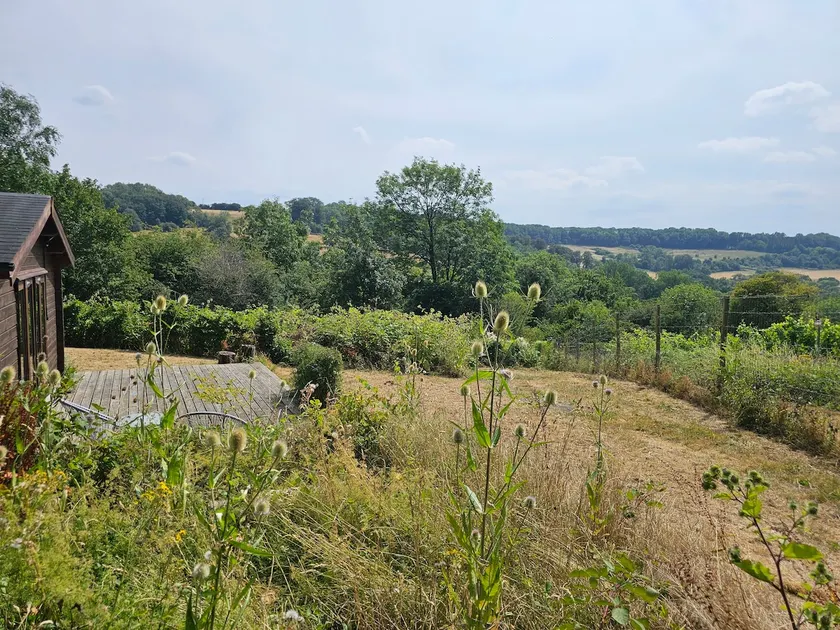 Vineyard Nature Retreat near Bath - Image 1