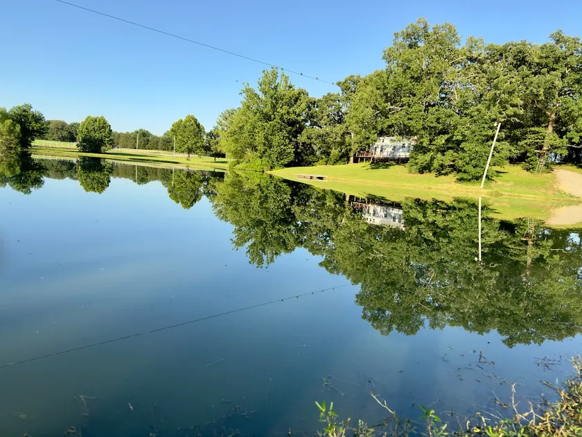 Pond Life In The Oaks - Image 1