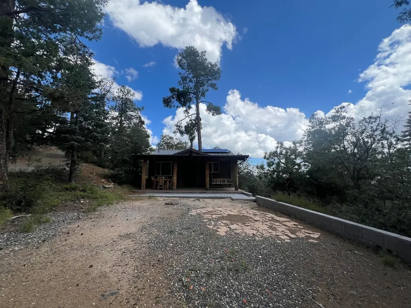 Little Pine - Image 1
