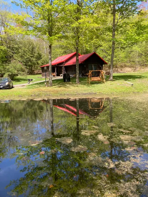 Al’s Cabin - Image 1