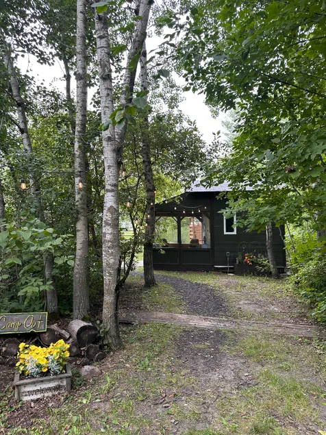 Camp Out - Image 1