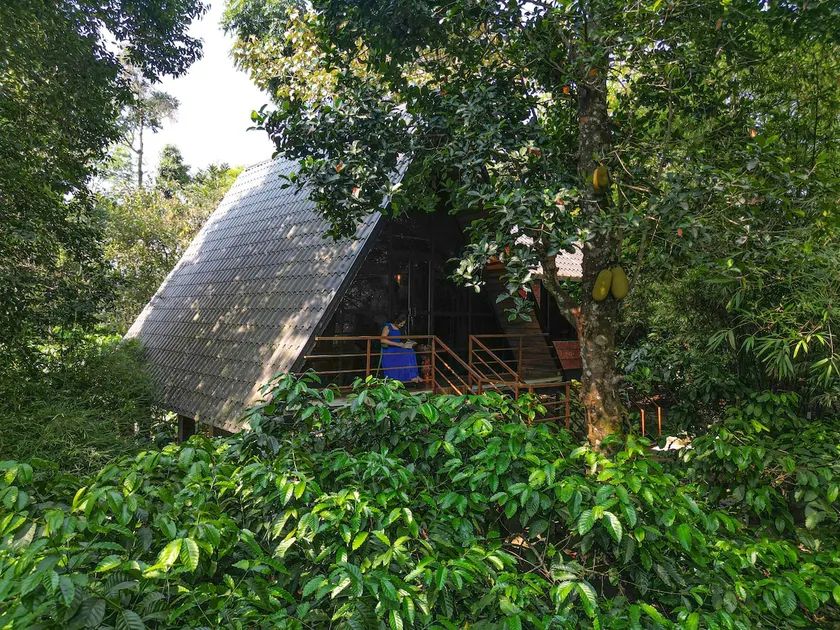 Bourbon 2BR Family Cottage | Coffee Estate Stay - Image 1