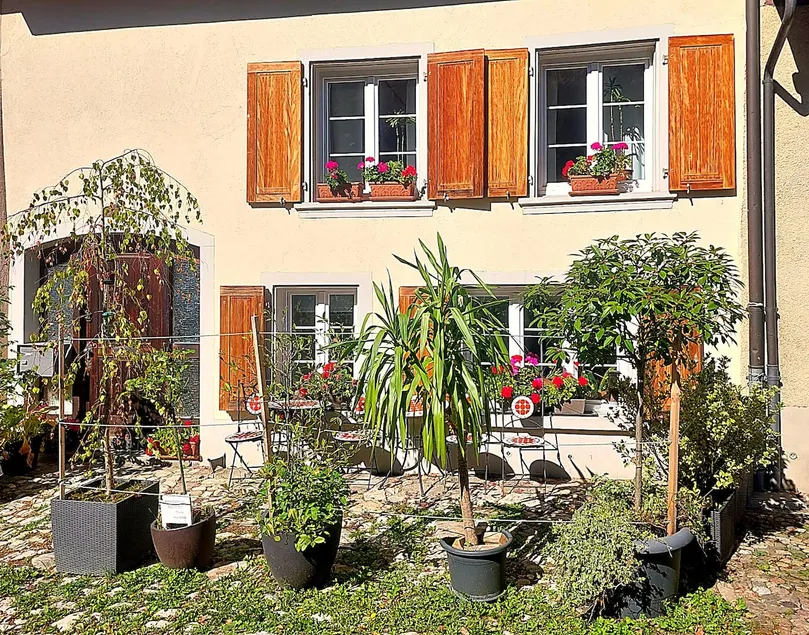 Charming Cottage nr Basel. Parking, WiFi, Hiking. - Image 1