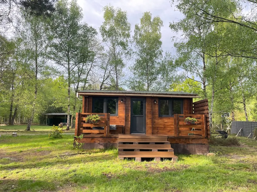 Cottage in the heart of the forest. - Image 1