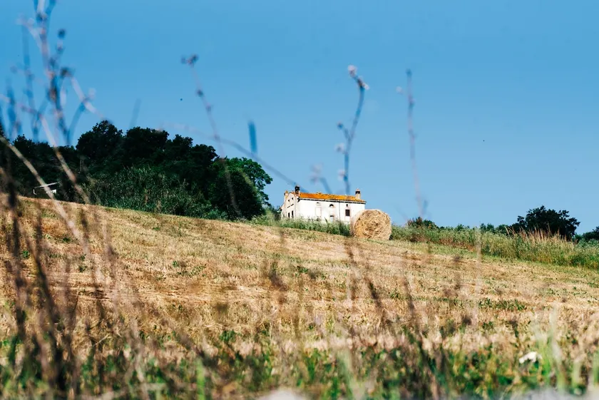 Country house, peace and nature, under the Maiella - Image 1