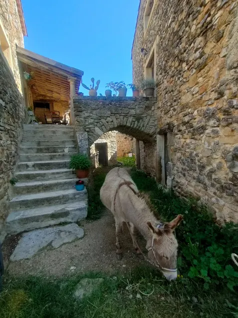 Gite at Marcel's farm. - Image 1