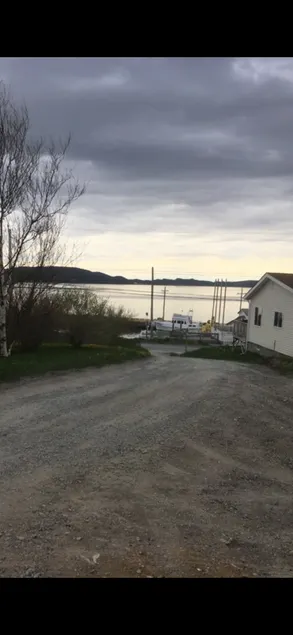 By the bay - Image 1