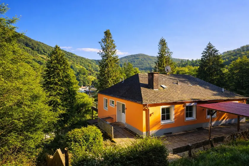 Maxi apartment for the chilled deer OG - Image 1