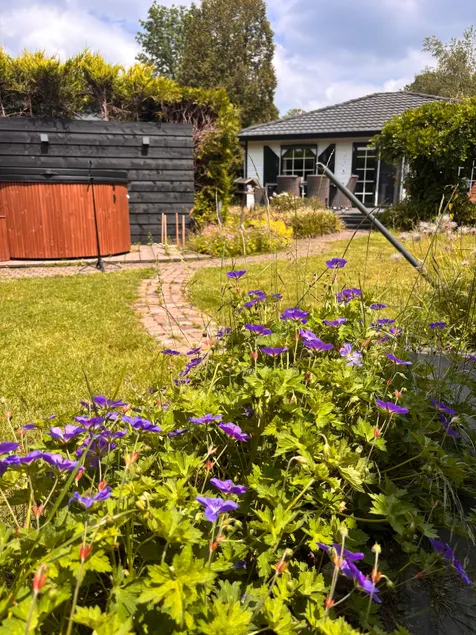 The Veluwe paradise. Now with a lovely hot tub. - Image 1
