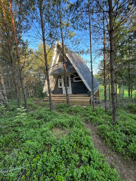 Idyll in the forest - Image 1