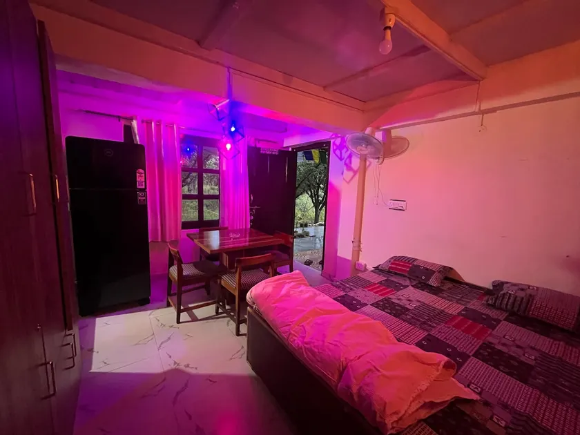 Work-Friendly Plum Orchard Stay in Kullu-Manali - Image 1