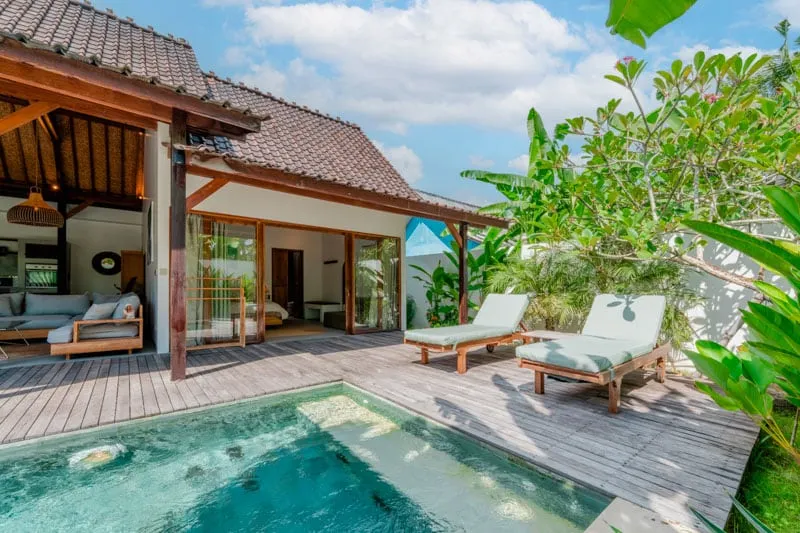 Palm Paradise - Image 1