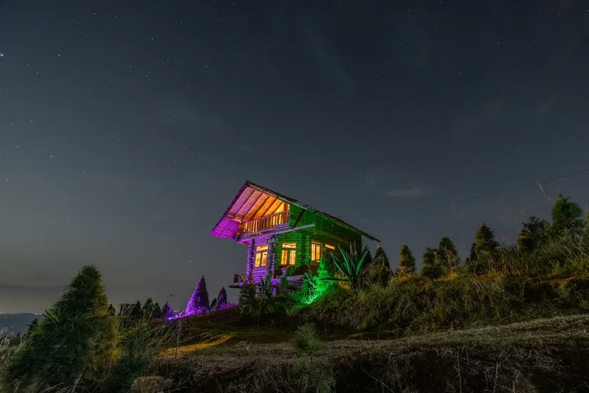 Cabin surrounded by Christmas trees - Image 1