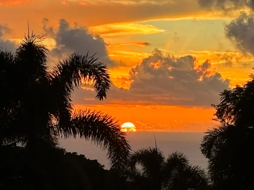 Mini Plantation with a View - Image 1