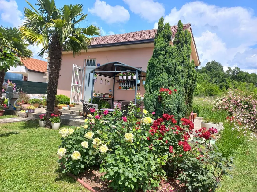 Sun Garden - Image 1