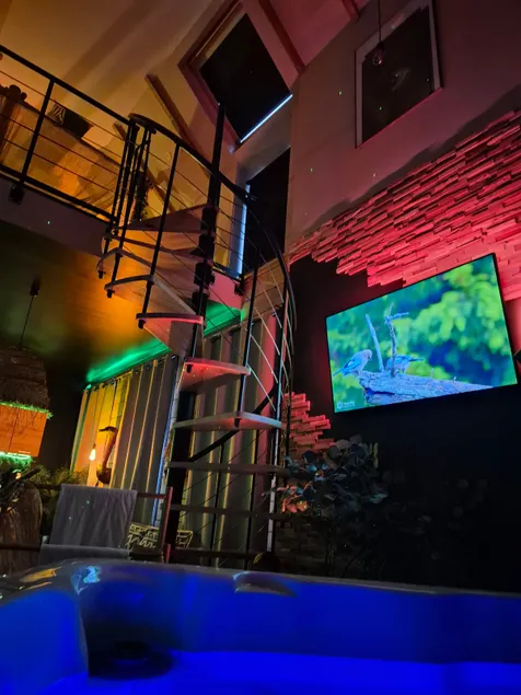 Apartment with large Safari-themed jacuzzi - Image 1