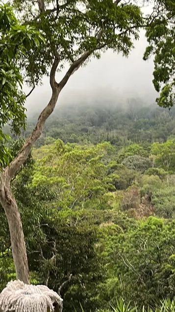 A place to enjoy nature - Image 1