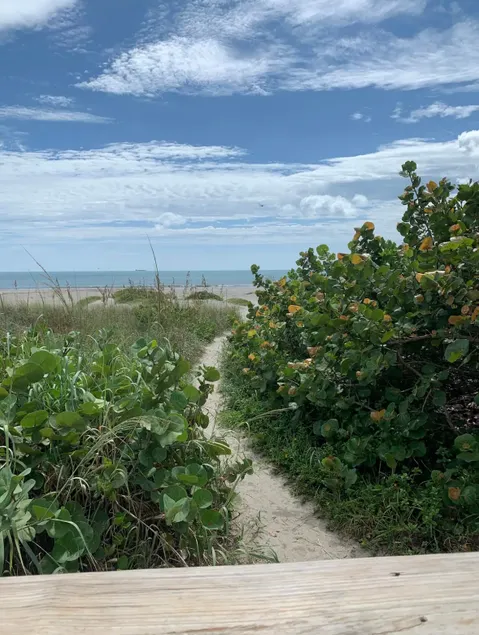Steps from the sand! Blast off to our Condo! - Image 1