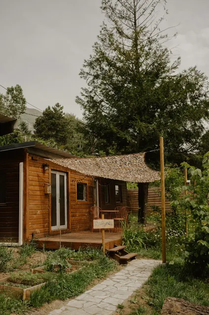 Kiwai Lodge - Bungalow - Image 1