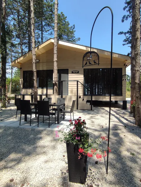 A forest fairy tale in Varna! - Image 1