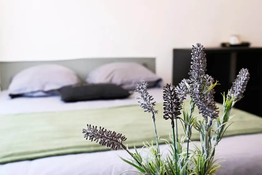1-ZenkaSerenity-Renovated farmhouse-Quiet-CHU-Wi-Fi - Image 1