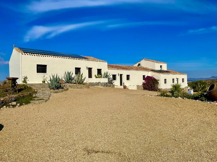 Mi’Luna Oasis Suites (The Palm Apartment) - Image 1