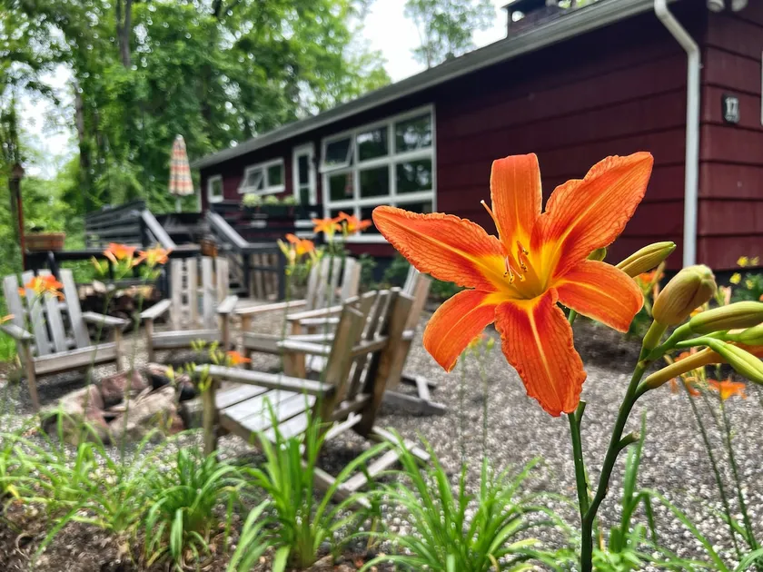 [Rabbit Hill Cabin] Hiking/Private/Forest view - Image 1